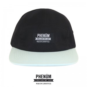 PhenumxWOL-5panel-Cap-Mint-Fresh-01