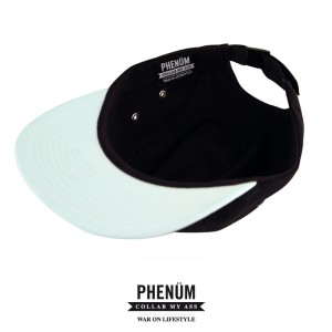 PhenumxWOL-5panel-Cap-Mint-Fresh-03