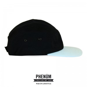 PhenumxWOL-5panel-Cap-Mint-Fresh-04